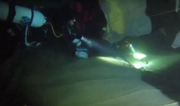 潜水博主视频爆料,博主亲历水下奇观